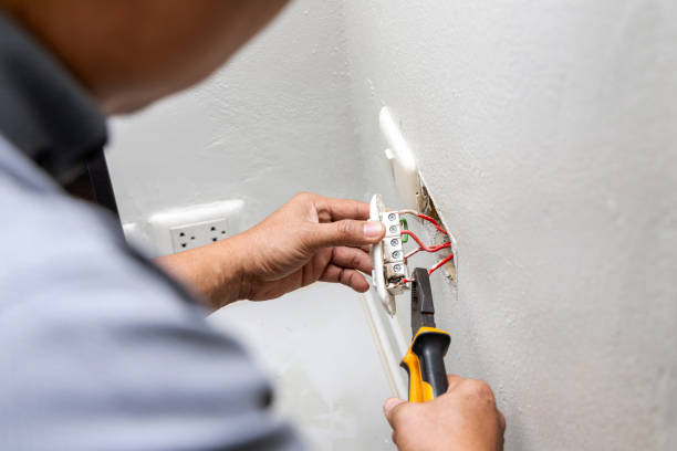 Best Electric Panel Repair  in Harwood Heights, IL